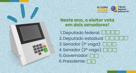 Também é possível treinar o passo a passo no Simulador de Votação.