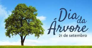 Dia da Árvore: Justiça Eleitoral do Tocantins incentiva preservação ambiental com gestão sustentável ntre os dias 21 a 25 de setembro o Regional tocantinense promoverá a distribuição de mudas de at...