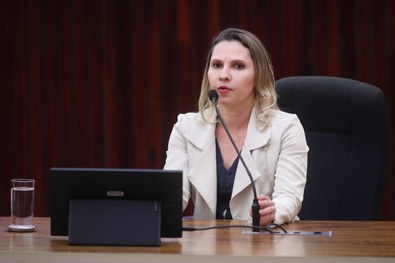 Lívia de Souza Bessa apresentando o projeto no evento.