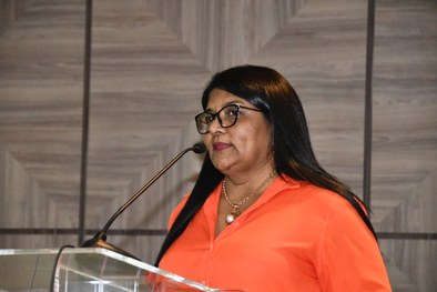 Programação vespertina do 2º Seminário Científico da EJE aborda participação social no planejame...