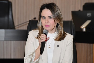 Encontro reuniu especialistas para debater formas de prevenção, acolhimento e enfrentamento.